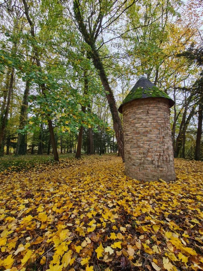Maison D'Hotes Au Coeur Des Lacs Lusigny-sur-Barse Buitenkant foto